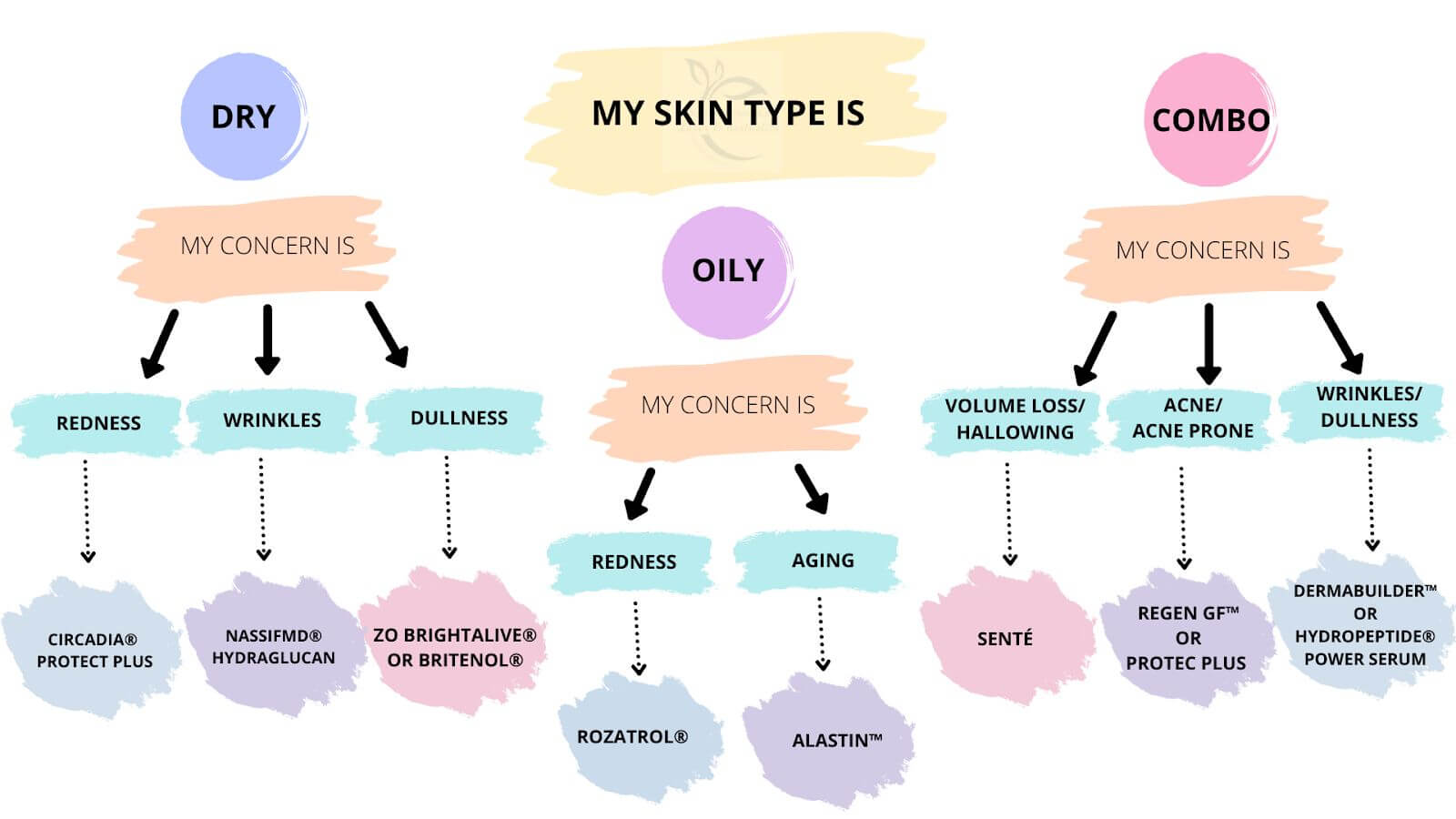 skin-type-graphic (1)